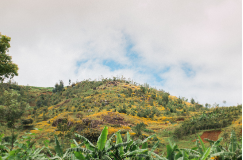 Burundi - Mikuba Hill